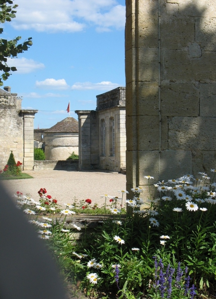 Un coin du jardin - Bourg