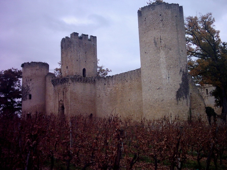 Château fort de Budos 14è.