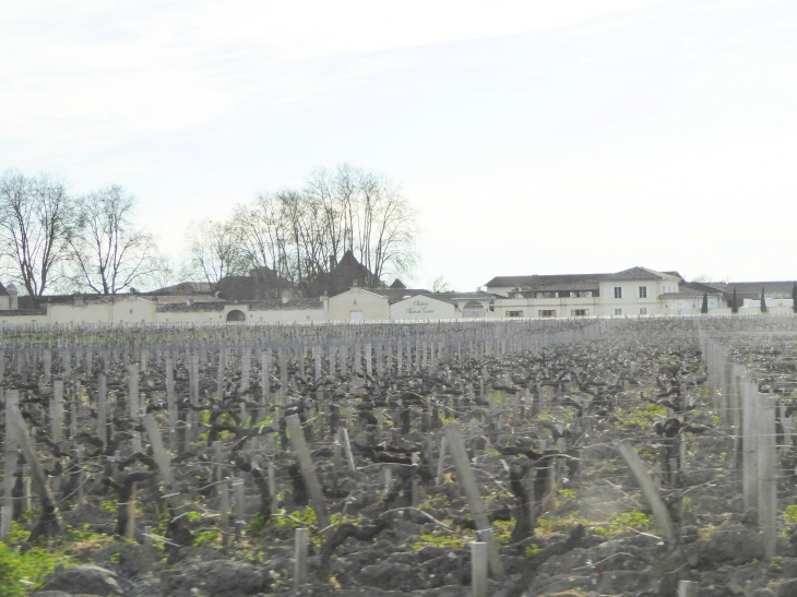 Village du vignoble. Le 1er Janvier 2017, les communes Margaux et Cantenac ont fusionné pour former la nouvelle commune Margaux - Cantenac