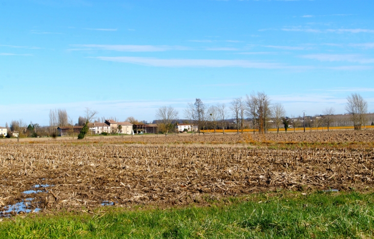 Aux alentours. - Castillon-de-Castets