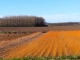 Photo précédente de Castillon-de-Castets Aux alentours.