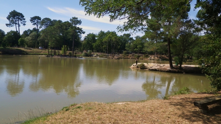 Un étang au parc de Monsalut. - Cestas