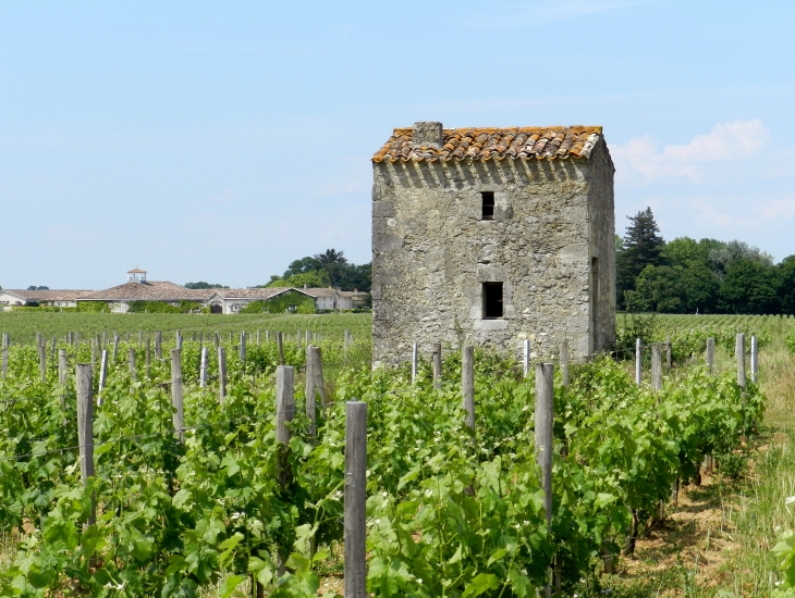 Cabane dans les vignes et le château Hanteillan - Cissac-Médoc