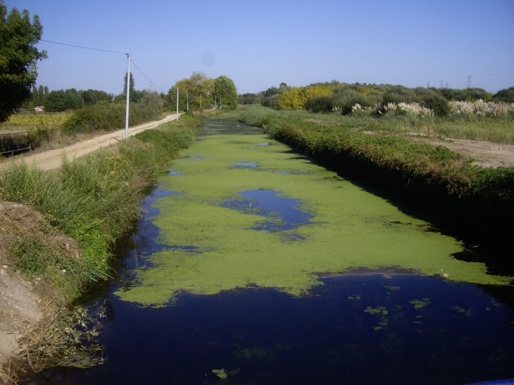 La jalle d'Eysines dans la zone maraîchère prés du Moulin Blanc.