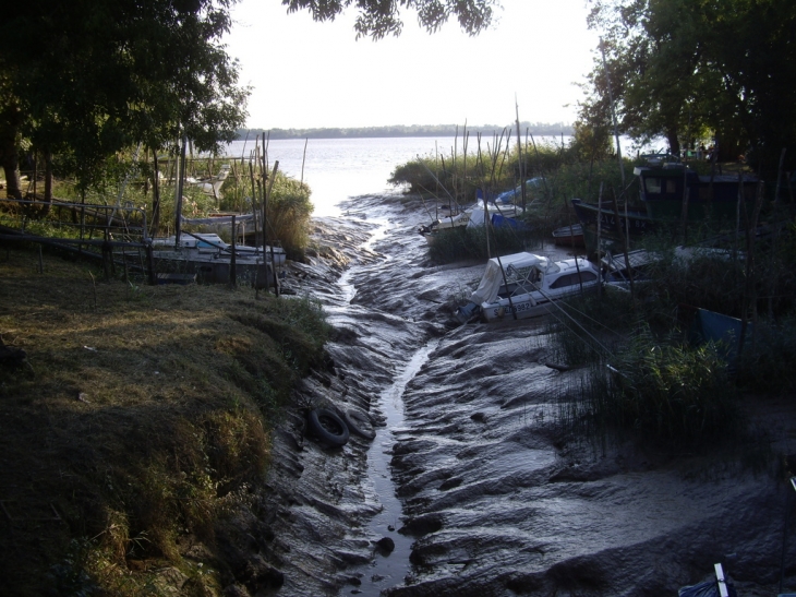 Le petit port de la Roque de Thau à marais basse. - Gauriac