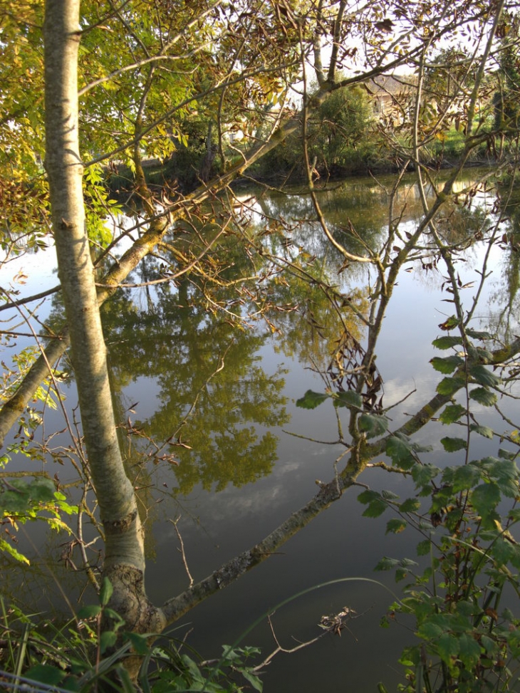 La lagune - Gauriaguet