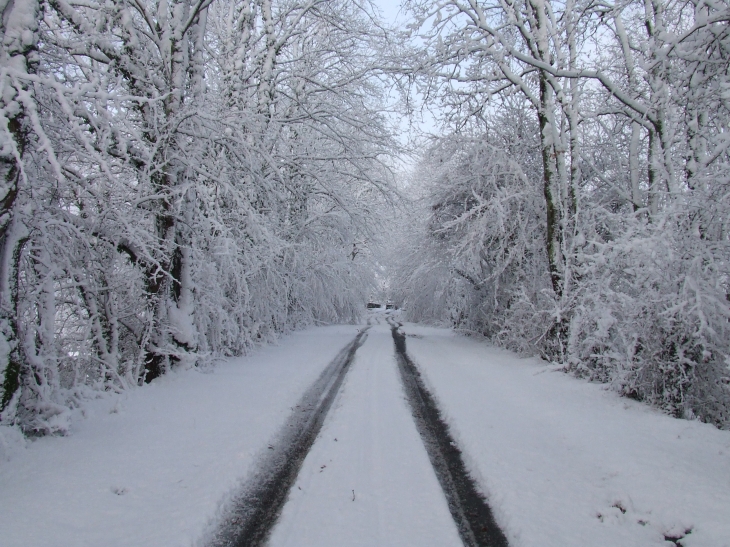 Direction le petit pont sous la neige... - Gauriaguet