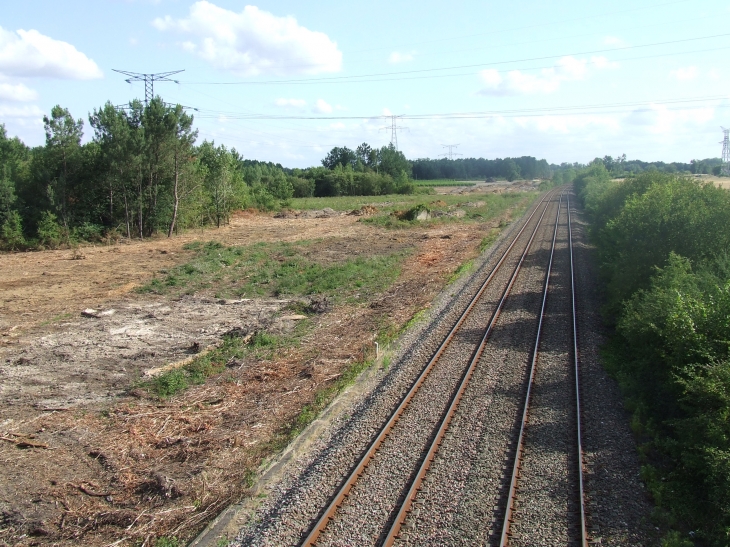 Travaux de déboisement qui commence pour le LGV - Gauriaguet