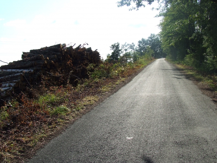 Fini belle nature les travaux commencent... - Gauriaguet