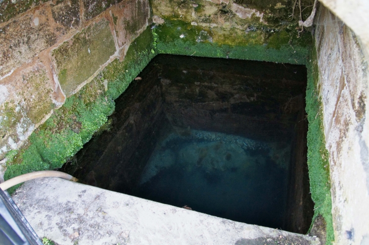 L-interieur-de-la-fontaine à Meilloc. - Gours