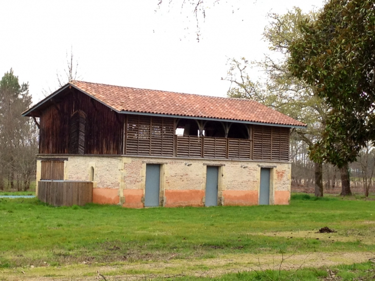 Grange traditionnelle au lieu-dit Canet. - Hostens