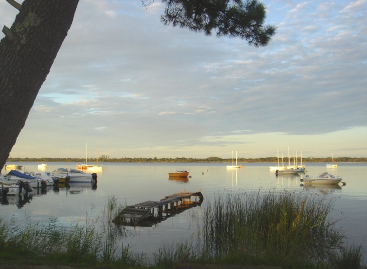 Vue depuis l'avenue de la marine Piqueyrot - Hourtin