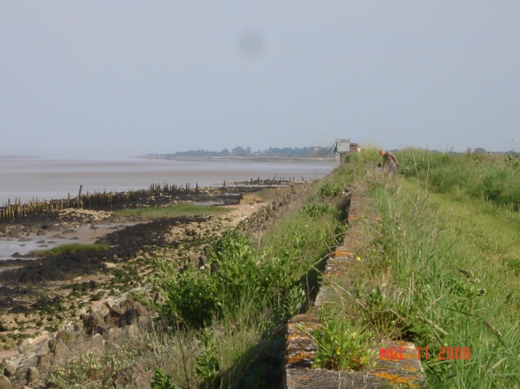 La Gironde à Port de Richard - Jau-Dignac-et-Loirac