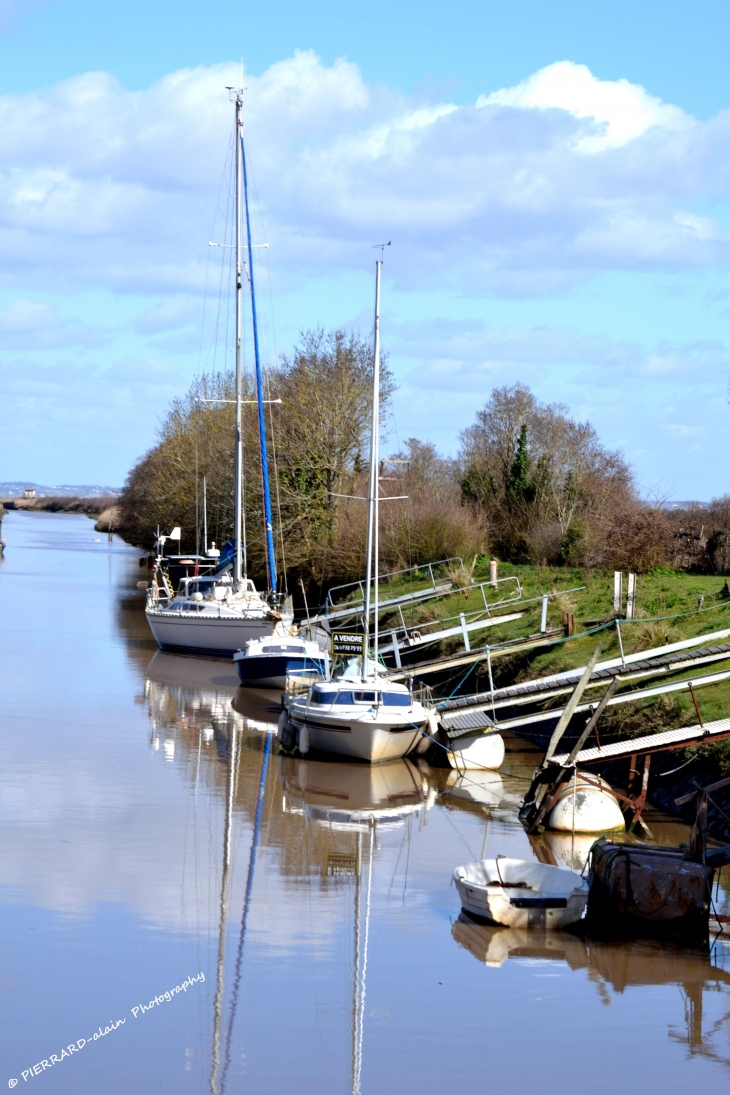 Port de richard - Jau-Dignac-et-Loirac