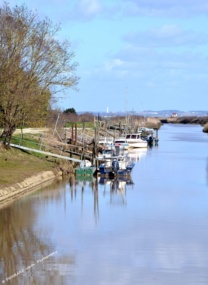 Jolie petit port au bord de l'estuaire - Jau-Dignac-et-Loirac