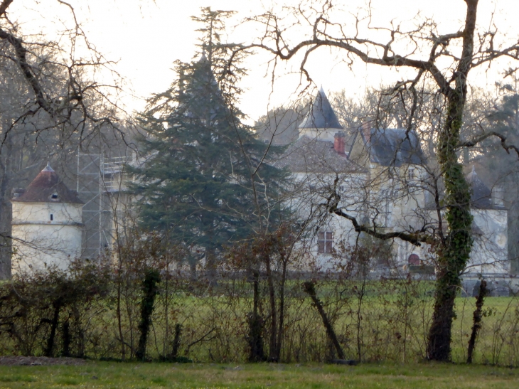 Le château de Montesquieu derrière un rideau d'arbres - La Brède