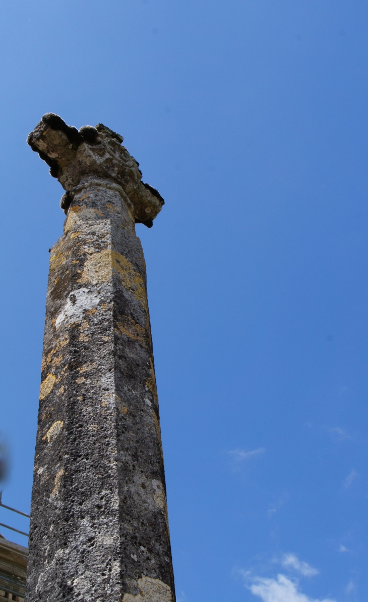 Croix gothique du XVIe siècle. - La Sauve