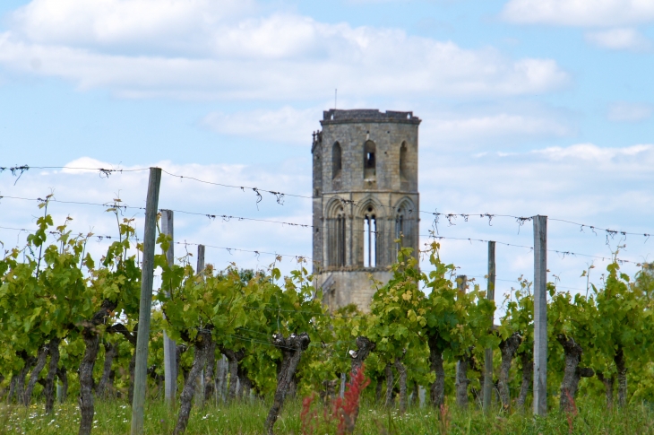 Le clocher de l'Abbaye de la Sauve, telle la pionte d'un iceberg, domine le paysage de vignobles qui s'est substitué peu à peu à la grande forêt de l'Entre-deux-Mers.