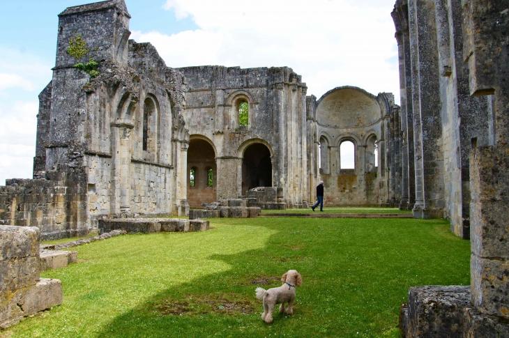 La façade occidentale de l'Abbaye de la Sauve.