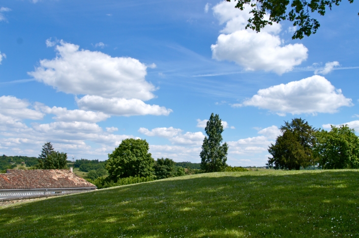 Vue du parc de l'abbaye de la Sauve.