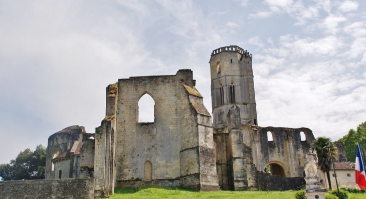 Ruines de l'Abbaye de la Sauve Majeure