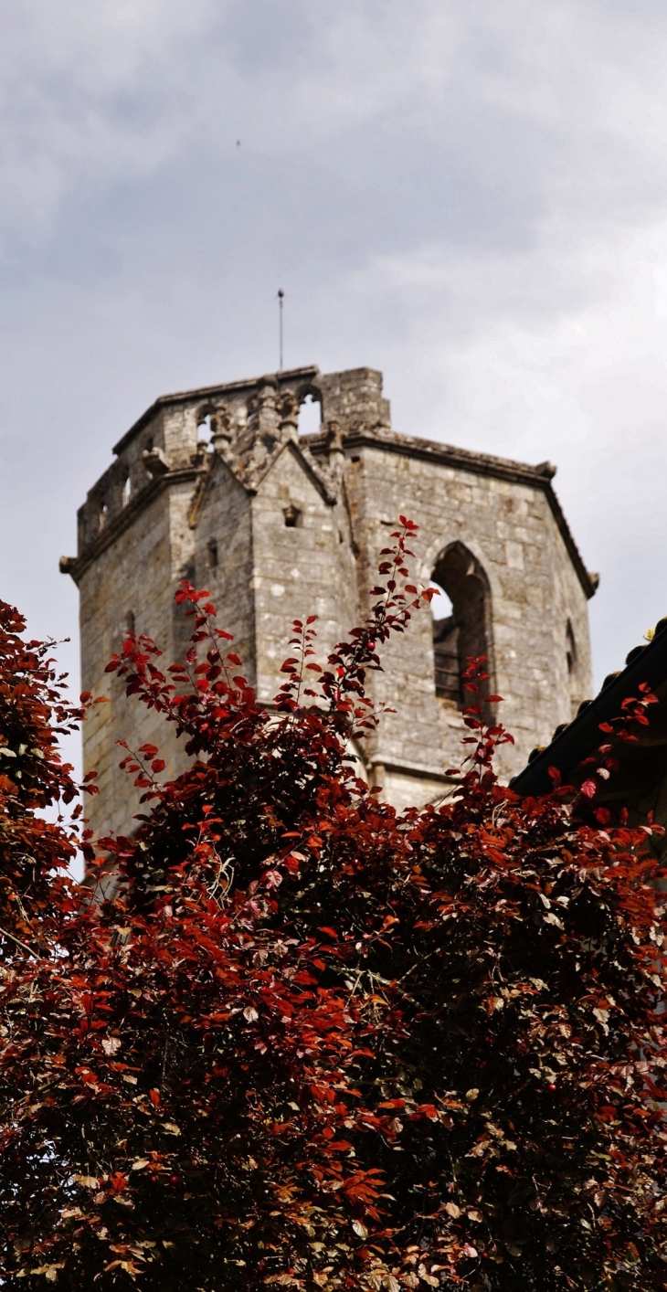 Ruines de l'Abbaye de la Sauve Majeure