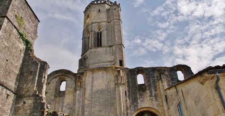 Ruines de l'Abbaye de la Sauve Majeure