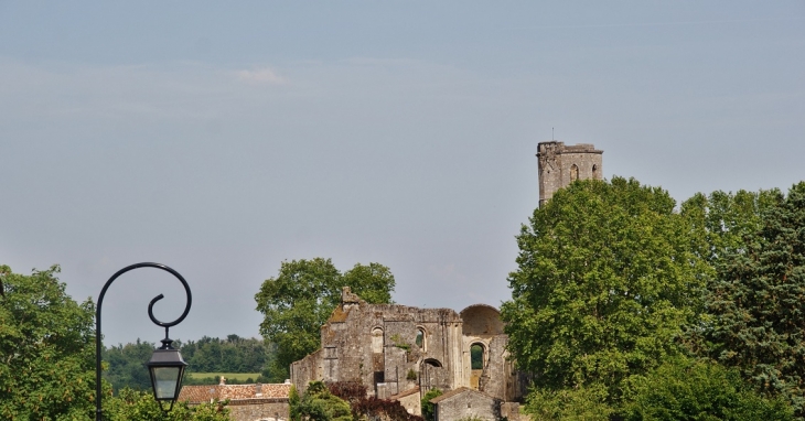 Ruines de l'Abbaye de la Sauve Majeure