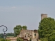 Ruines de l'Abbaye de la Sauve Majeure