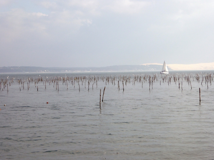 Vue d'ensemble du cap Ferret - La Teste-de-Buch