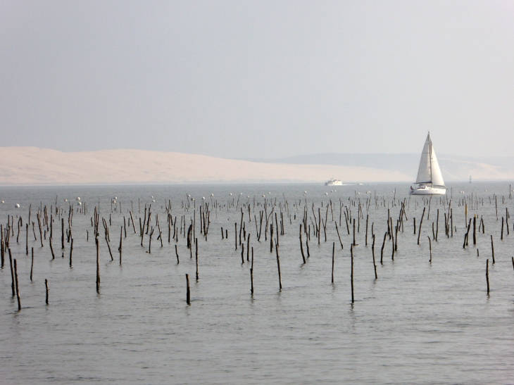 La dune du Pyla vue du Cap Ferret - La Teste-de-Buch