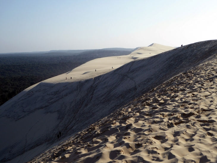 La crête de la dune du Pyla - La Teste-de-Buch