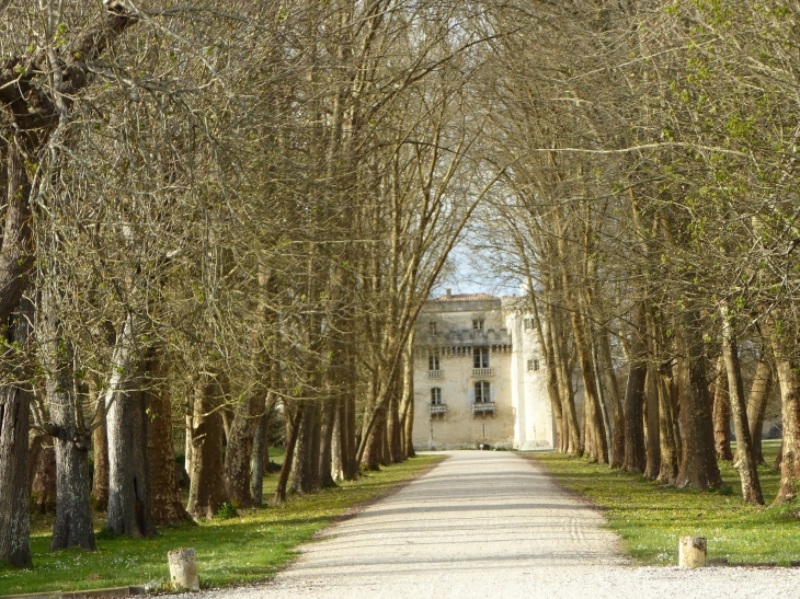 Le château - Lamarque