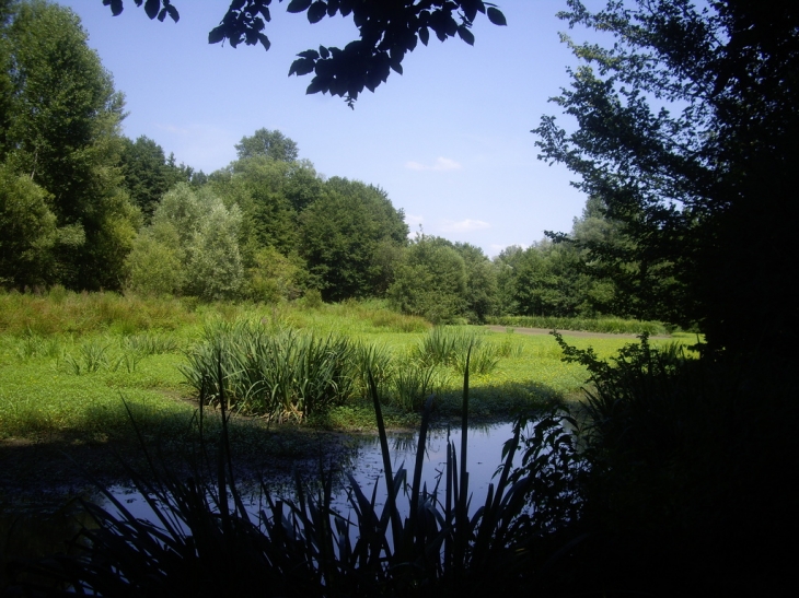 Le marécage du lac de Larromet. - Laroque