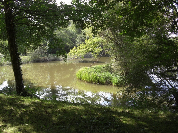 Le lac vert - Laruscade