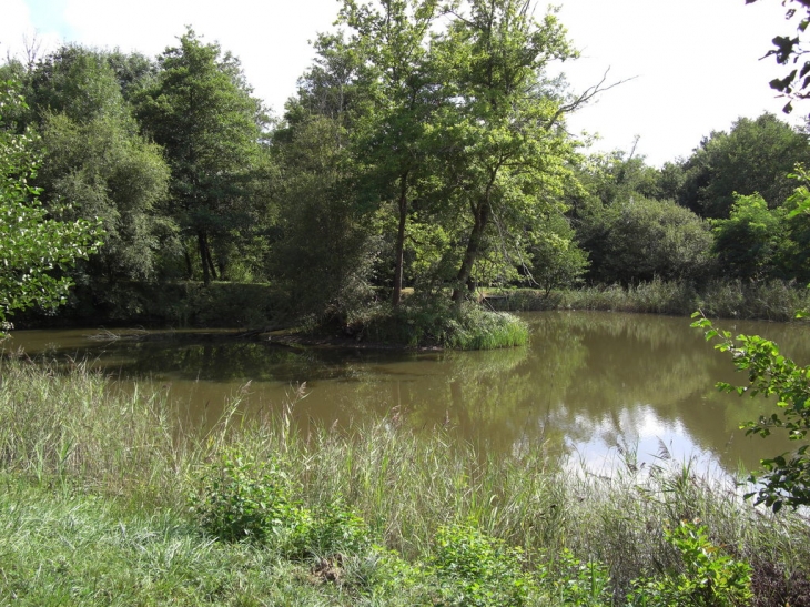 Le lac vert - Laruscade