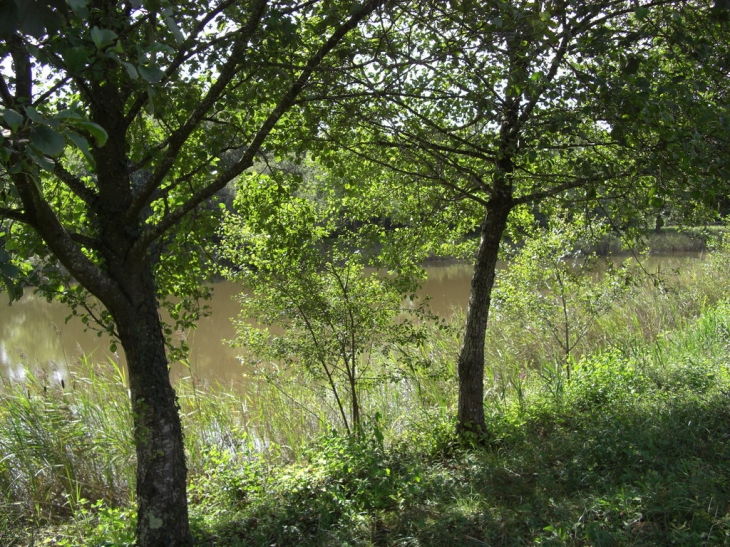 Le lac vert - Laruscade