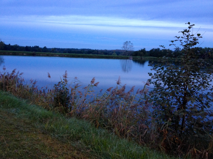 Le lac des Vergnes. - Laruscade