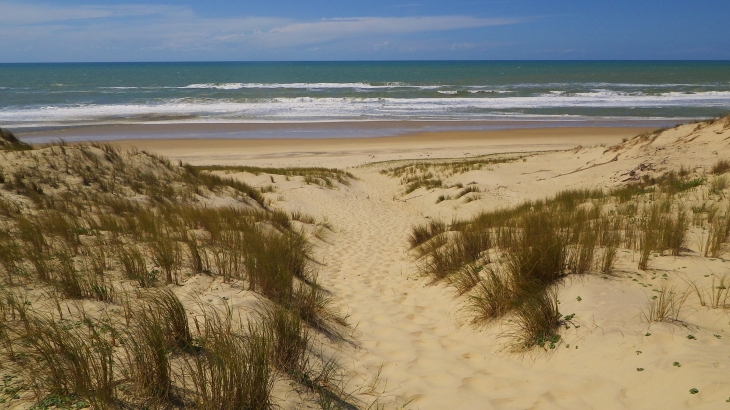 La plage, les dunes et l'océan au lieu dit  - Le Porge