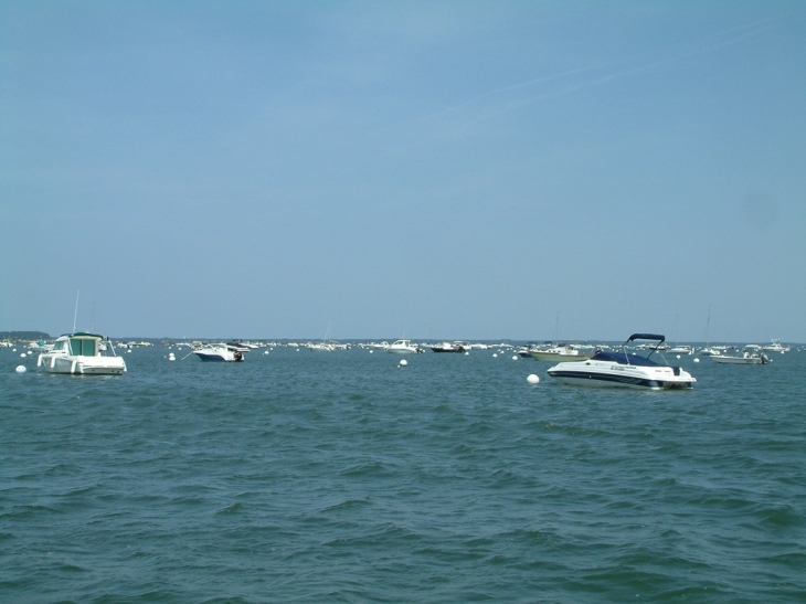 Lege-Cap-Ferret - Bateaux de plaisance au large du Canon - Lège-Cap-Ferret