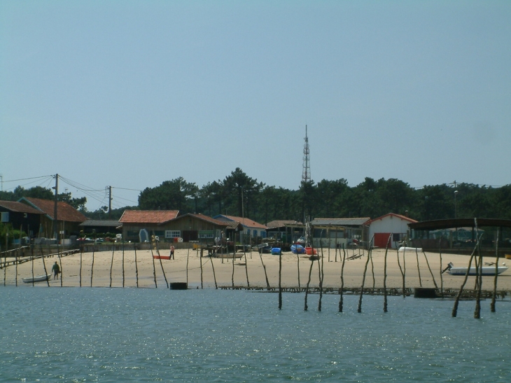 Lege-Cap-Ferret - vers la Becassiere - Lège-Cap-Ferret