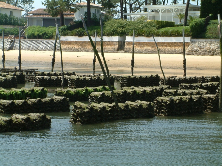 Lege-Cap-Ferret - Jardin des Tuileries: ostreiculture - Lège-Cap-Ferret