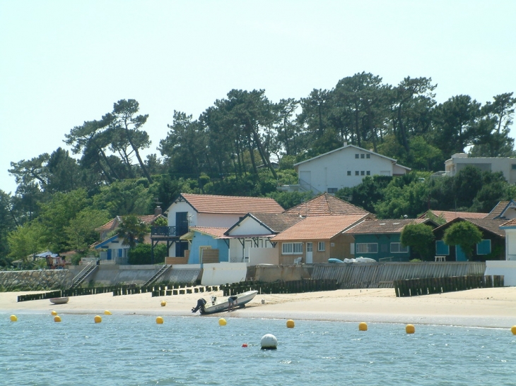 Lege-Cap-Ferret - l'Herbe - Lège-Cap-Ferret