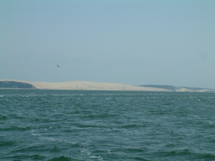 Lege-Cap-Ferret - la dune du Pyla (ou Pilat) - Lège-Cap-Ferret