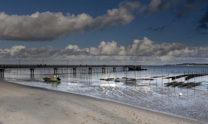 Cap Ferret - Allée de Bélisaire - Lège-Cap-Ferret