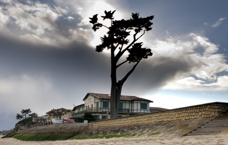 Cap Ferret - Allée de Bélisaire - Lège-Cap-Ferret