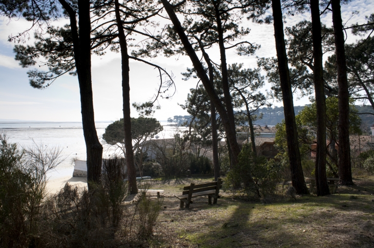 La presqu'île du Bassin d'Arcachon - Lège-Cap-Ferret