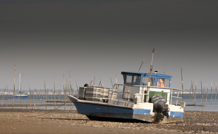 La presqu'île du Bassin d'Arcachon - Lège-Cap-Ferret