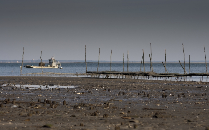 La presqu'île du Bassin d'Arcachon - Lège-Cap-Ferret