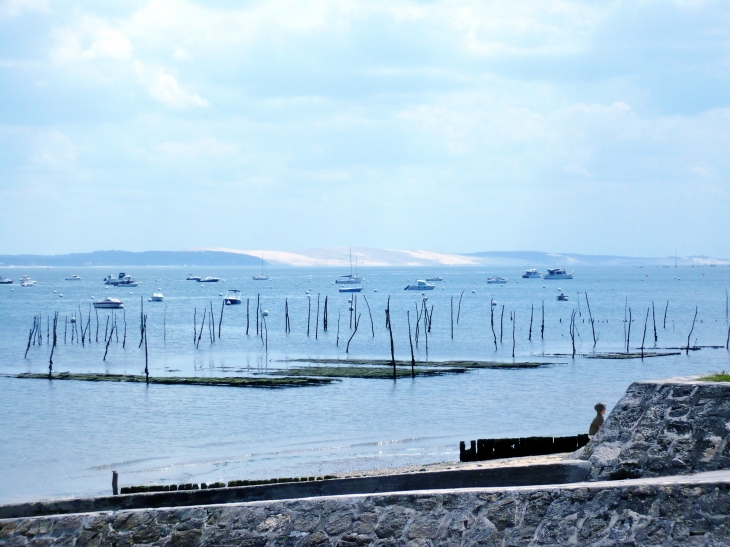 Vue sur la Dune de Pyla - Lège-Cap-Ferret